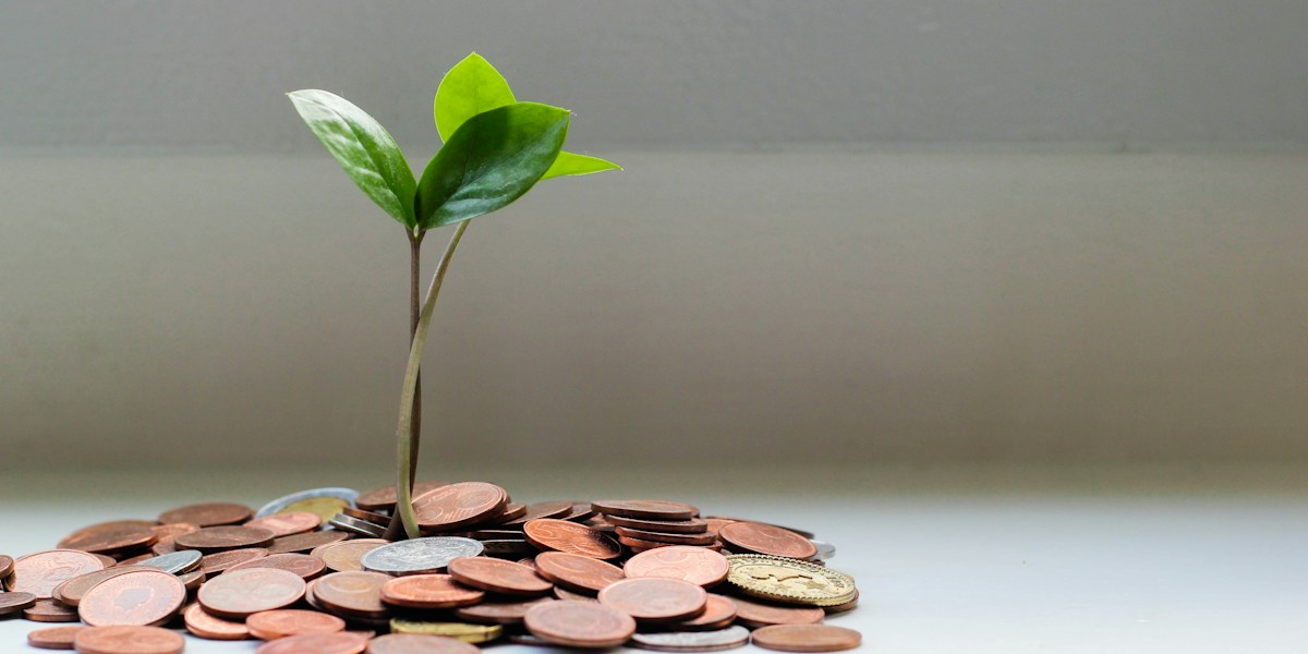Magento 2 extensies budgetteren: wat het echt kost en waar het misgaat